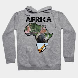 Africa Wildlife Continent Collage Hoodie